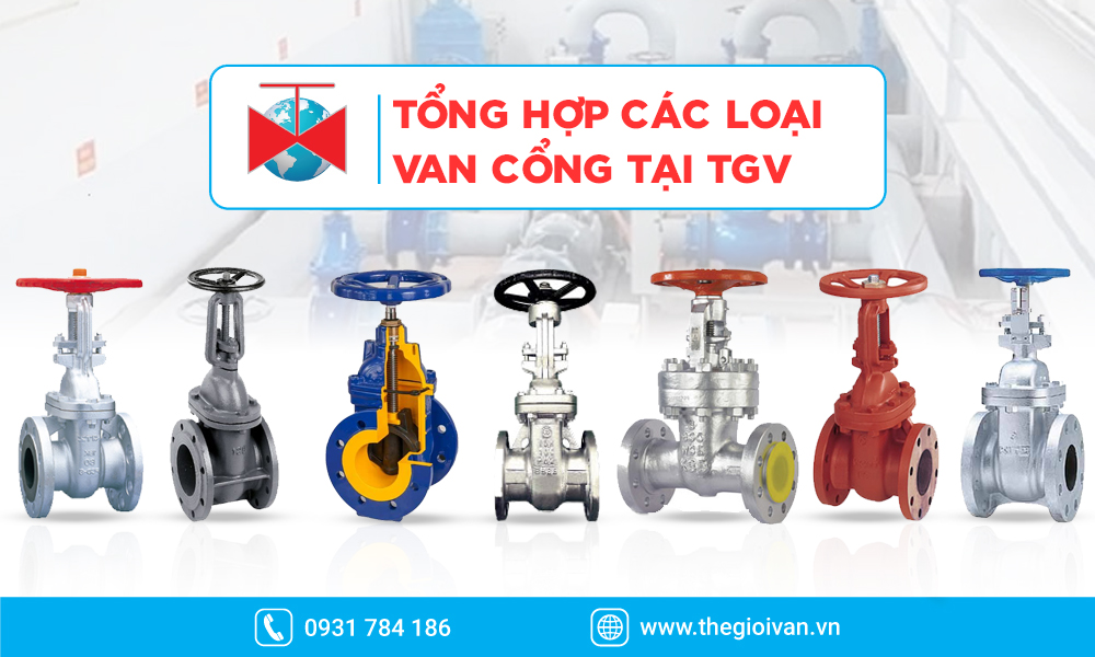 Các loại van cổng tiêu biểu tại Thế Giới Van