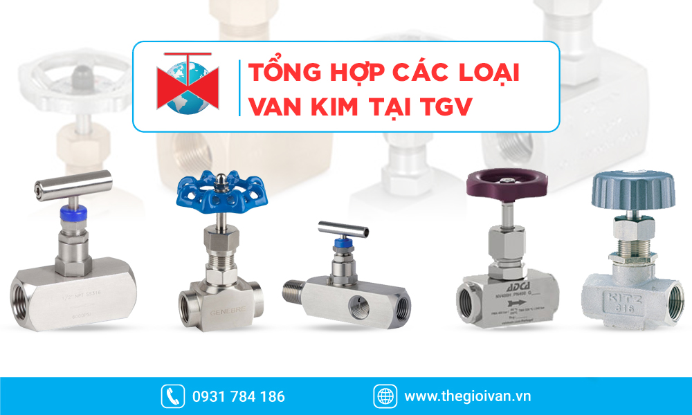 Các loại van kim tiêu biểu tại Thế Giới Van