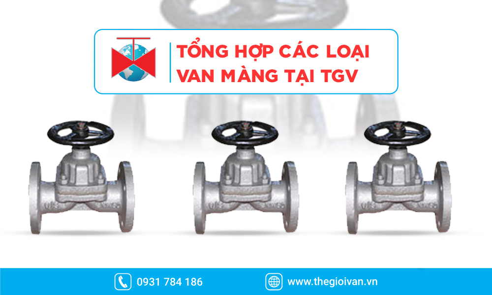 Các loại van màng tiêu biểu tại Thế Giới Van