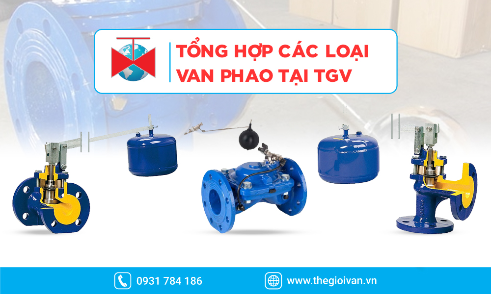 Các loại van phao tiêu biểu tại Thế Giới Van