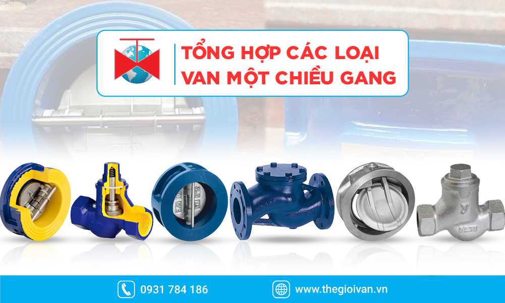 Các loại van một chiều gang tiêu biểu tại Thế Giới Van