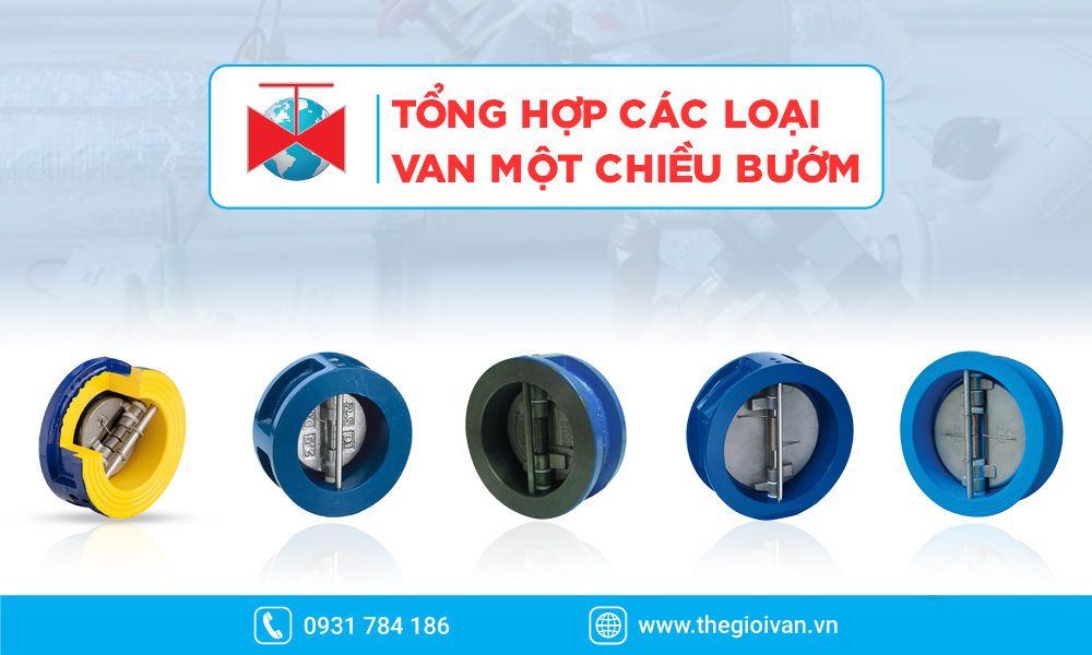 Tổng hợp các loại van 1 chiều bướm tại Thế Giới Van